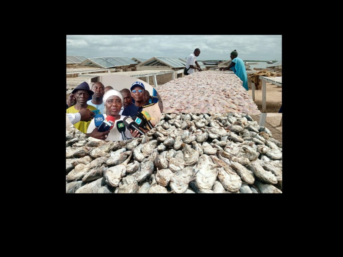 Visite ministre de la Pêche, Dr Fatou Diouf à Ziguinchor, Boudody, Cap Skiring