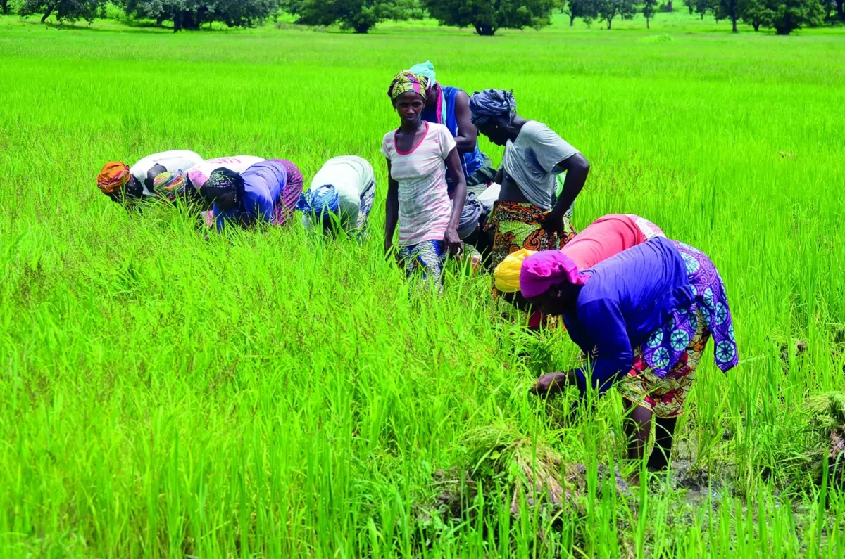 Bassirou Diomaye Faye dans la Vallée du fleuve Sénégal