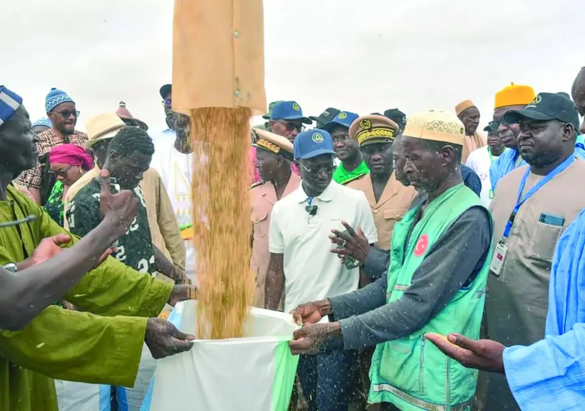 Mabouba Diagne, ministre de l’Agriculture, de la Souveraineté alimentaire et de l’Élevage, fait des annonces fortes dans la Vallée du fleuve Sénégal