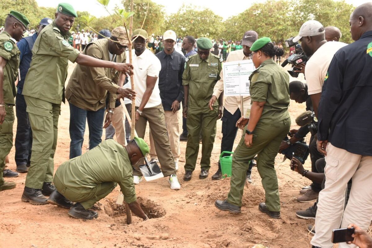environnement, Bassirou Diomaye Faye
