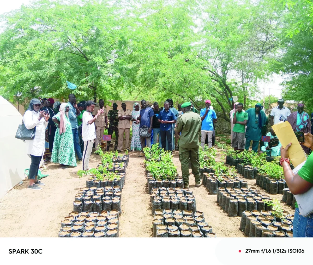 «Dundi-Ferlo», un projet de restauration des terres dégradées