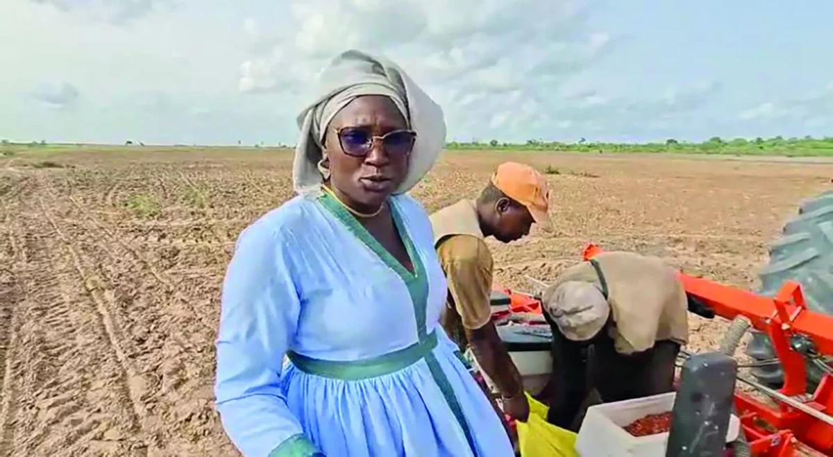 Fanta Souaré, fonio, Tambacounda
