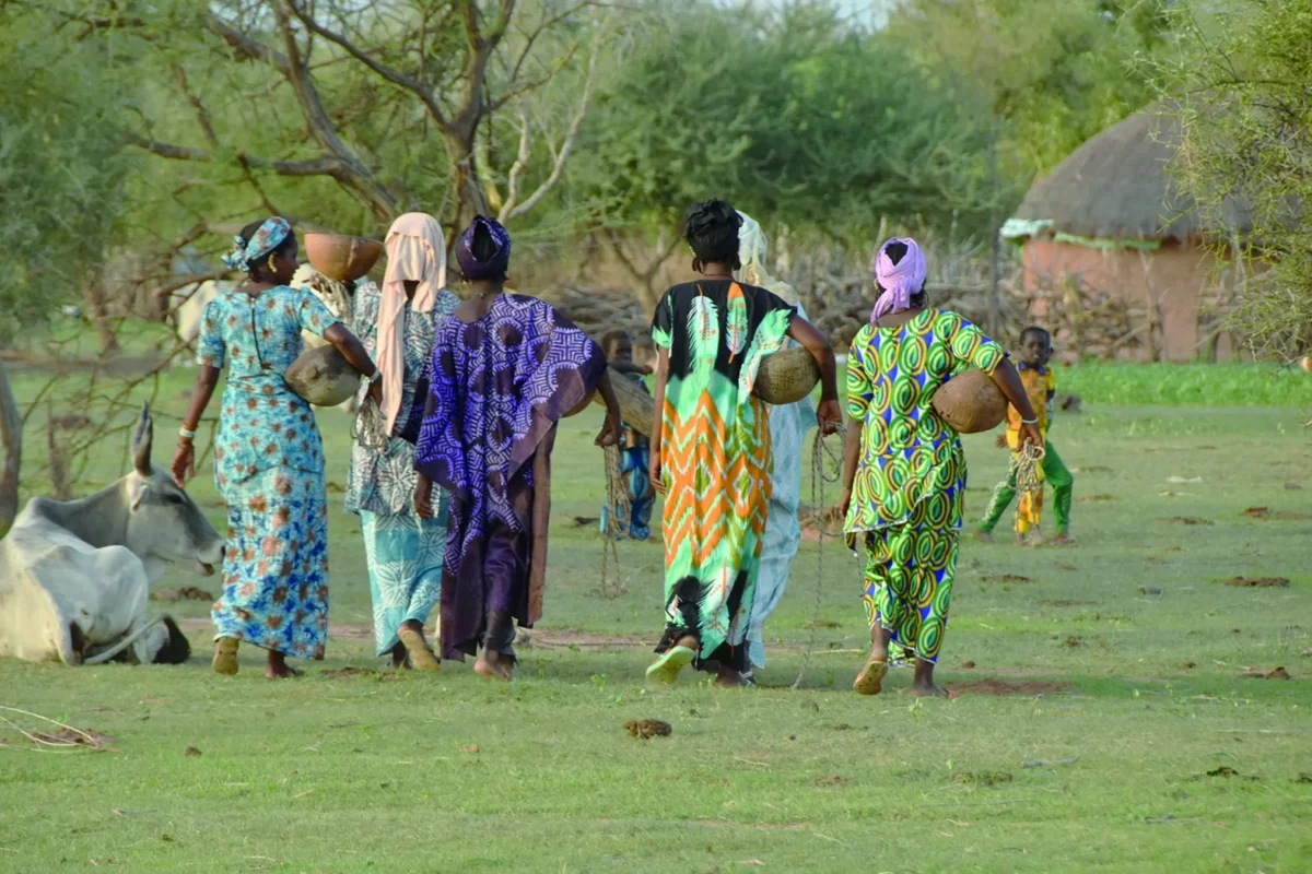 Sénégal-Ferlo. Pastoralisme et défis environnementaux : la femme fait preuve de réslience