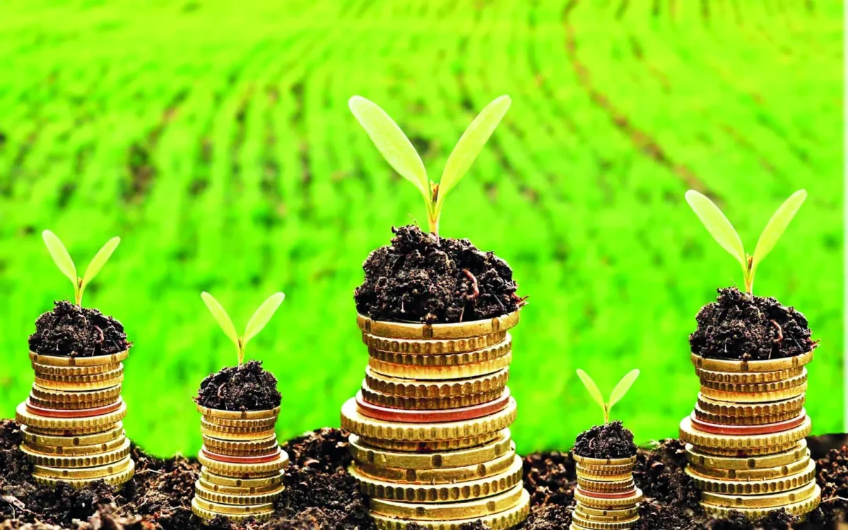 Obligation verte, Sénégal