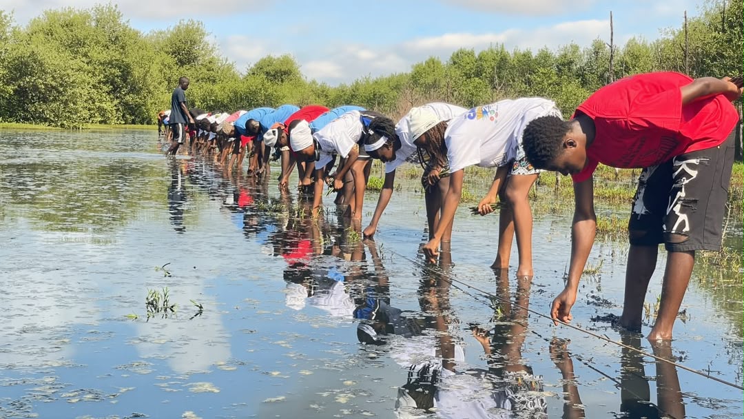 Pemuda Senegal Tanam 5.000 Propagul Bakau Di Île Du Diable